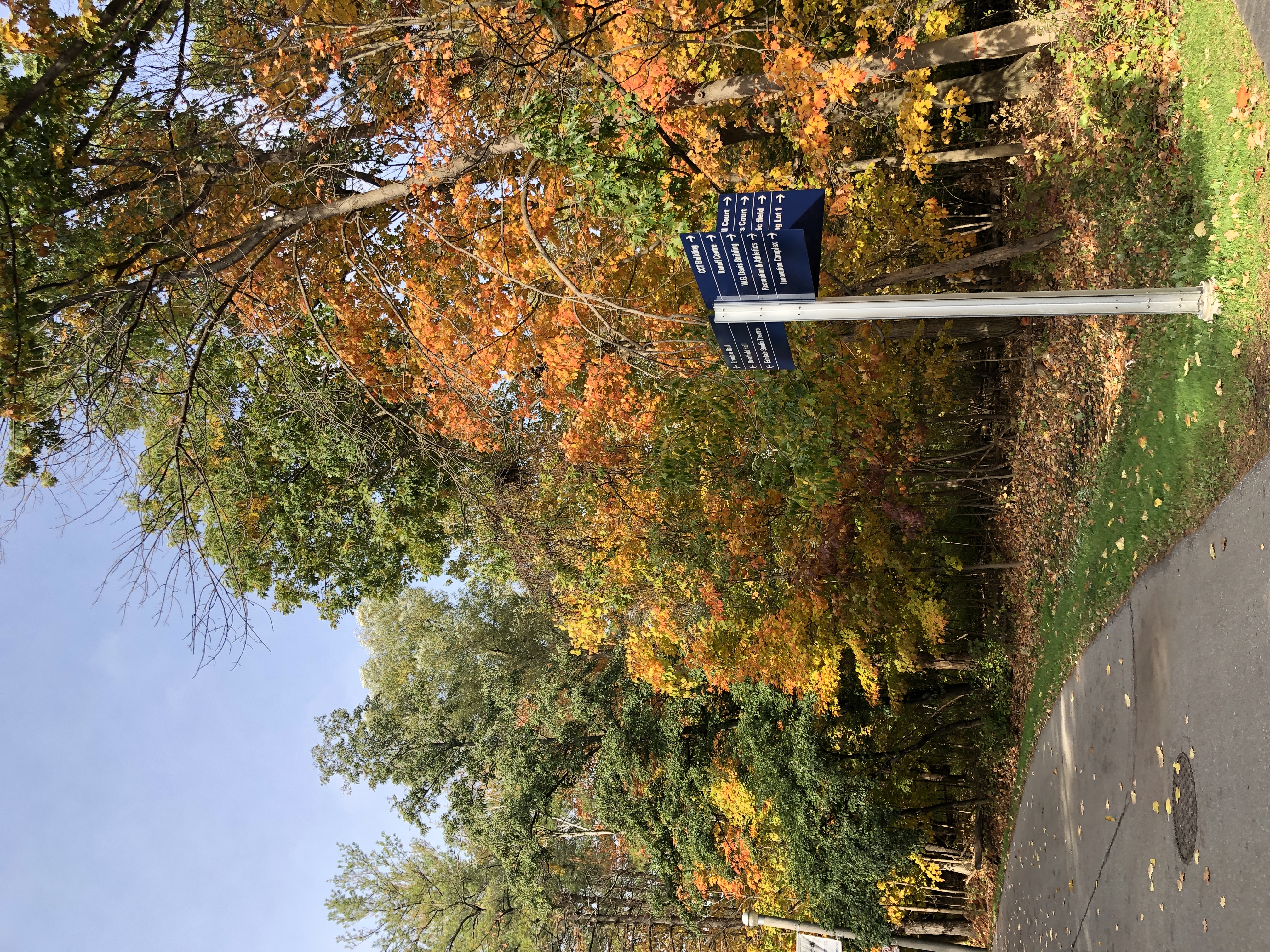 A fall day at UTM. On the right, trees with green and orange leaves; the walkway is on the left. In the foreground, a blue signpost offering directions to the various buildings at UTM.